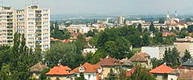 Správa domů Hradec Králové